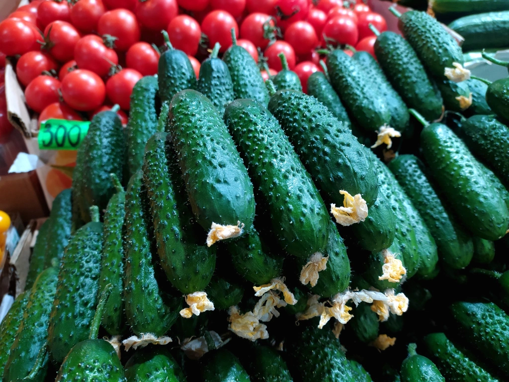 IMG_20250207_100951 (1).jpg IMG_20250207_100951 (1).jpg