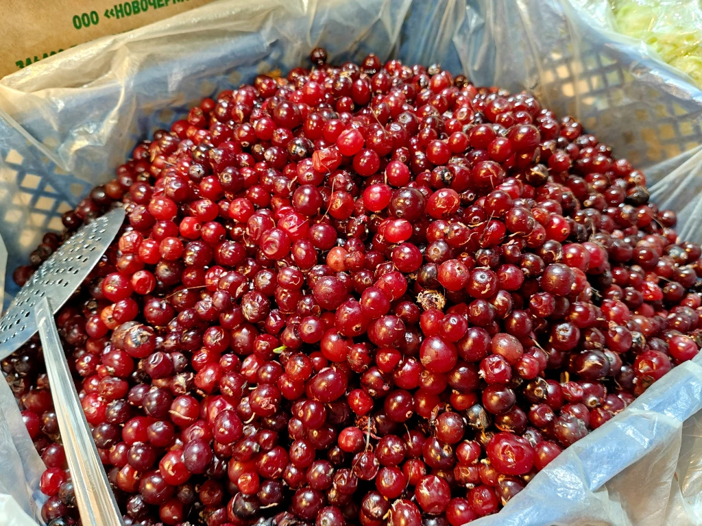 IMG20250321094556 (1).jpg