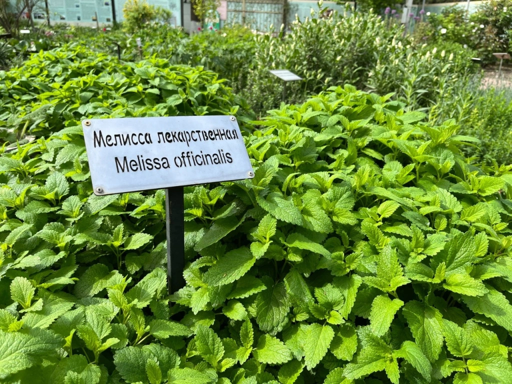 6tdMdScjmIQ.jpg 6tdMdScjmIQ.jpg