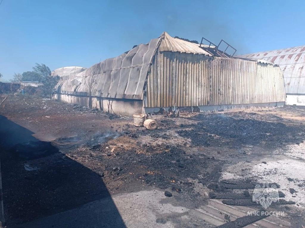 photo_2025-07-29_14-23-24.jpg photo_2025-07-29_14-23-24.jpg