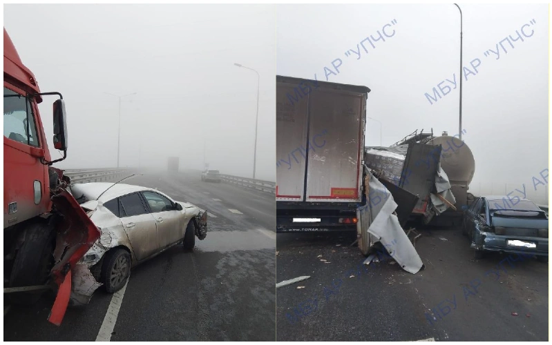 collage (1).png collage (1).png