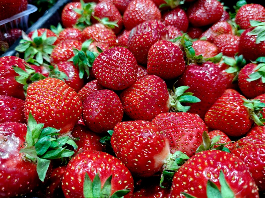 IMG20250606093418 (1).jpg IMG20250606093418 (1).jpg