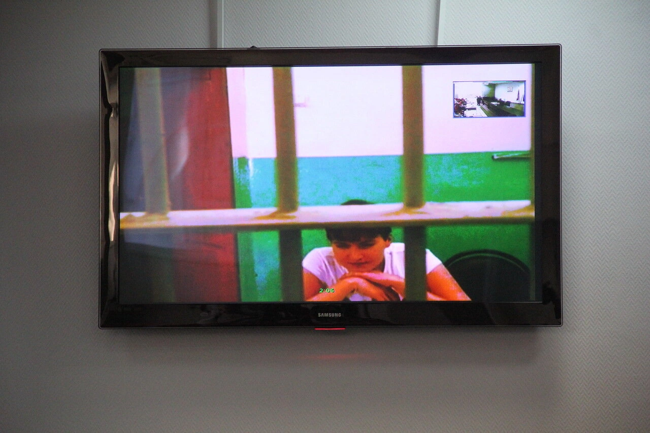 Надежда Савченко на видеосвязи из СИЗО с Ростовским облсудом