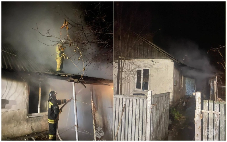 collage.png collage.png