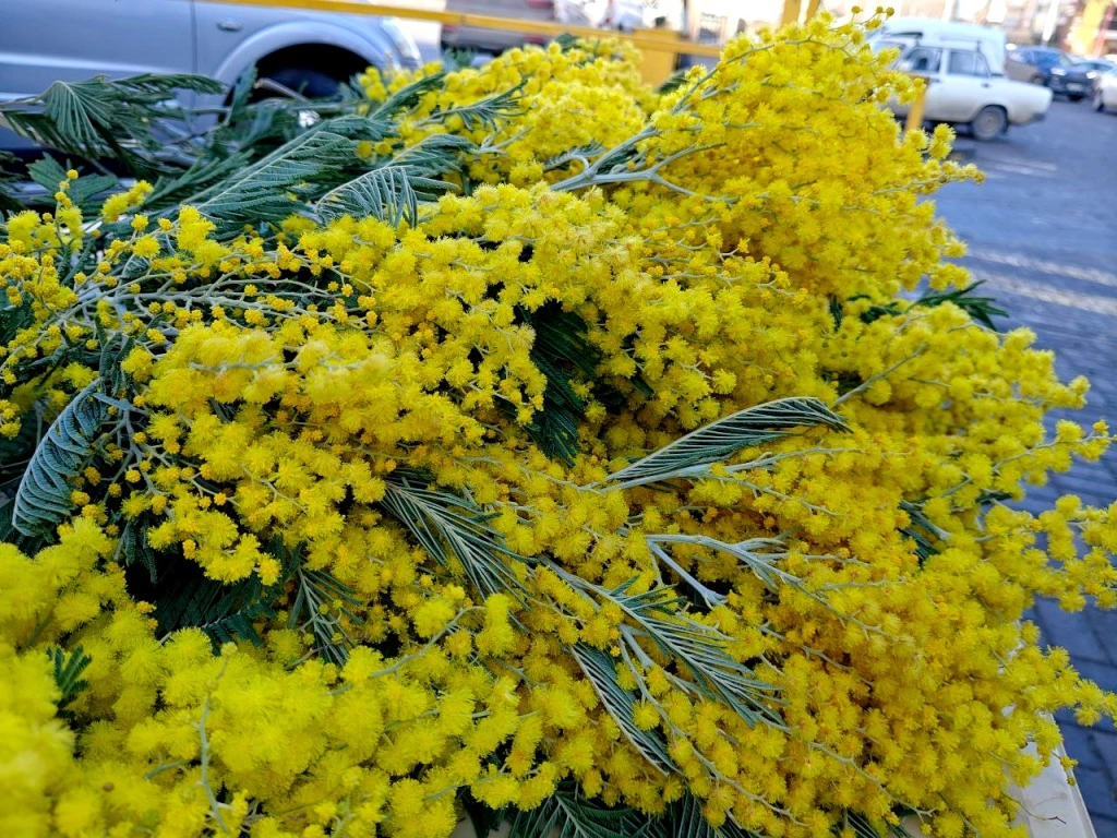 5354901526449089761 (1).jpg 5354901526449089761 (1).jpg