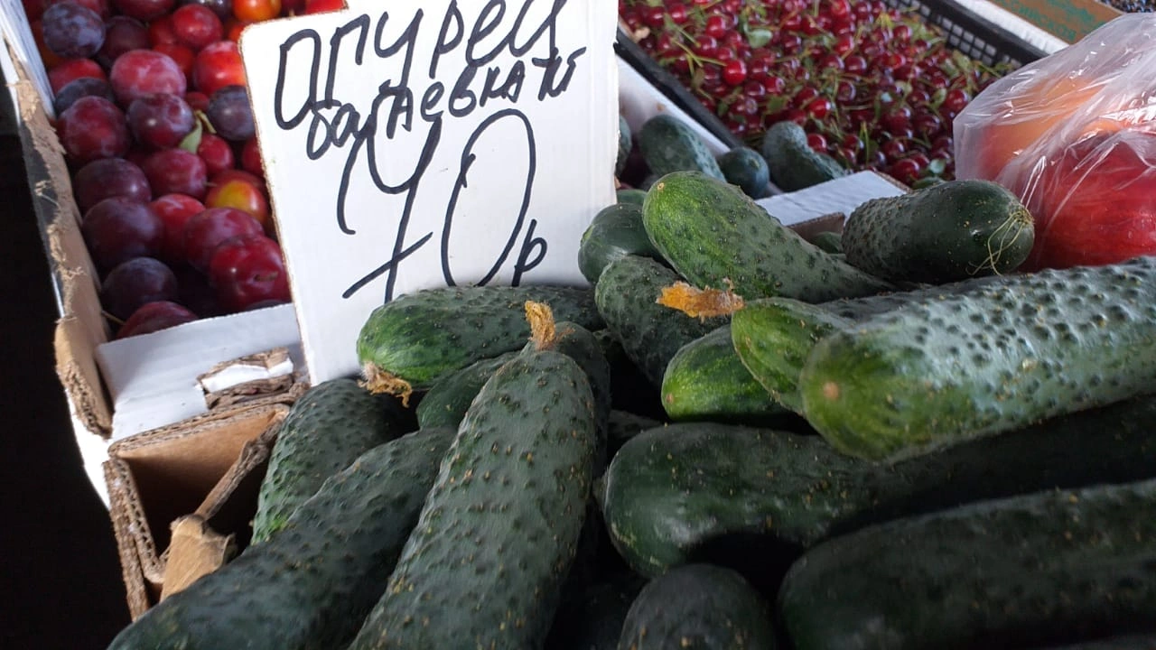 огурцы.jpeg огурцы.jpeg