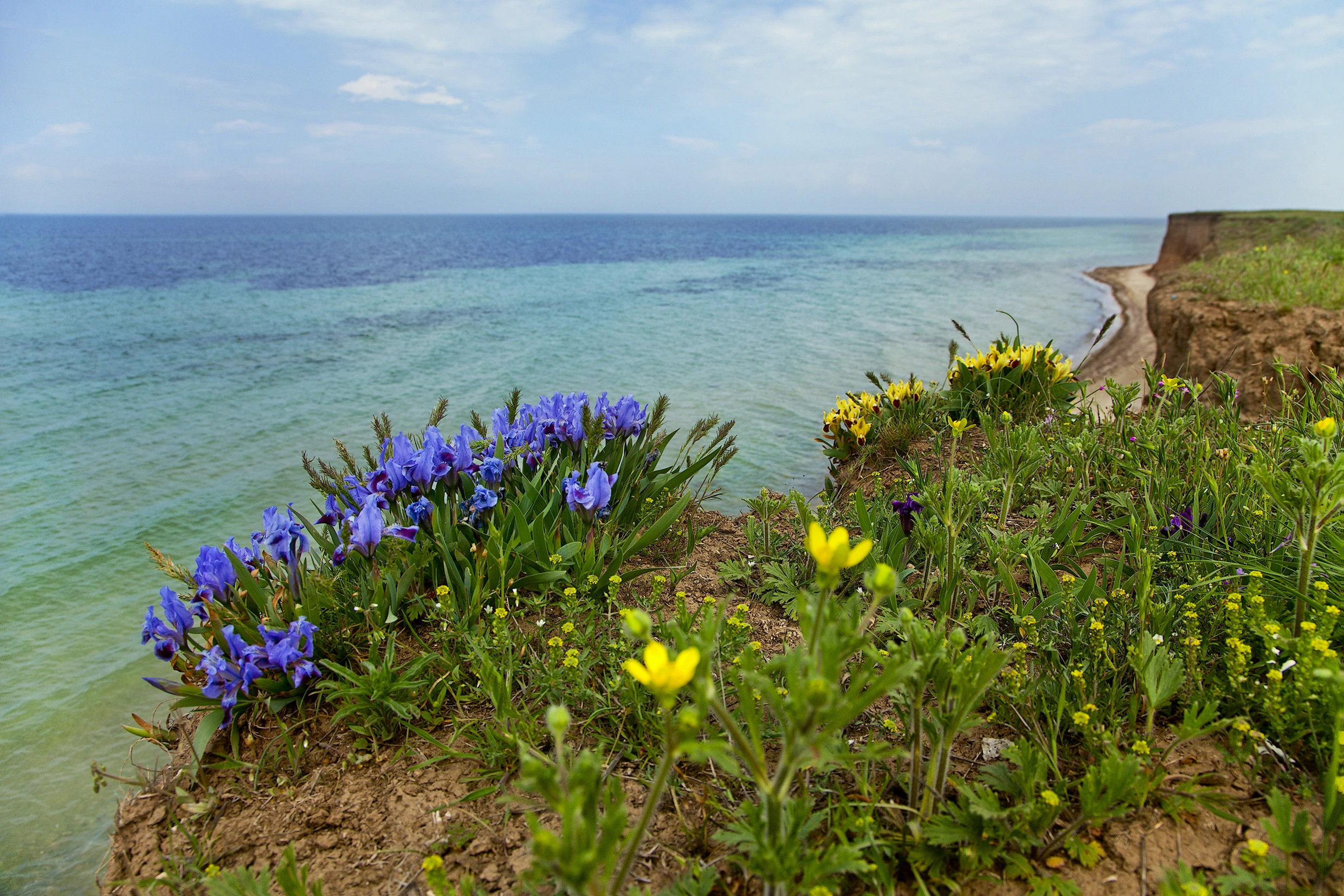 Озеро Маныч-Гудило.jpg