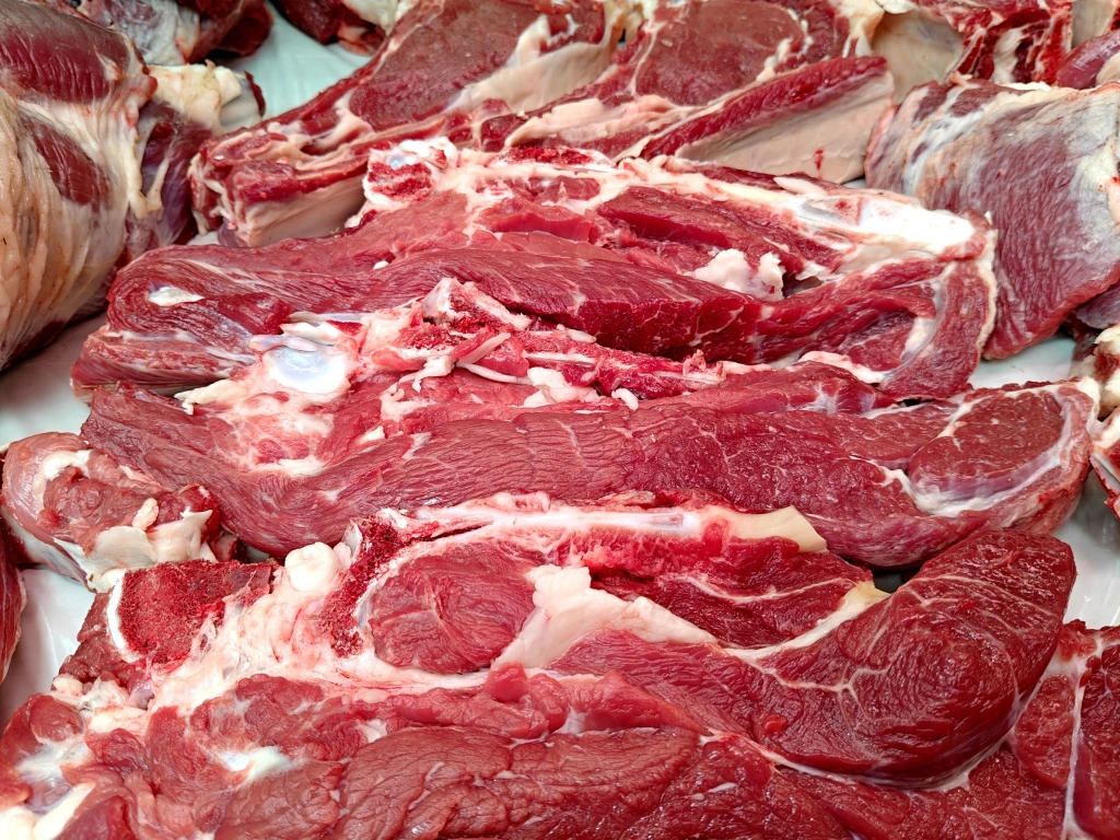 IMG20250411095219 (1).jpg IMG20250411095219 (1).jpg