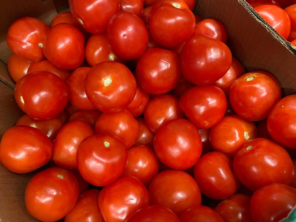 e8c0e73e-b36f-4d11-9390-d40775d9ddf4.jpg e8c0e73e-b36f-4d11-9390-d40775d9ddf4.jpg