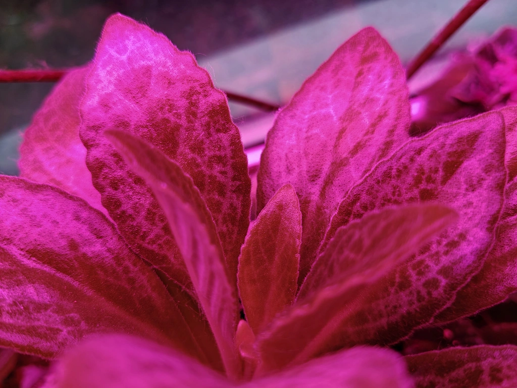 1000015869.jpg 1000015869.jpg