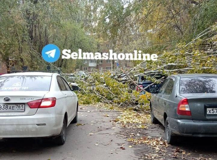 5274066745834988219 (1).jpg 5274066745834988219 (1).jpg