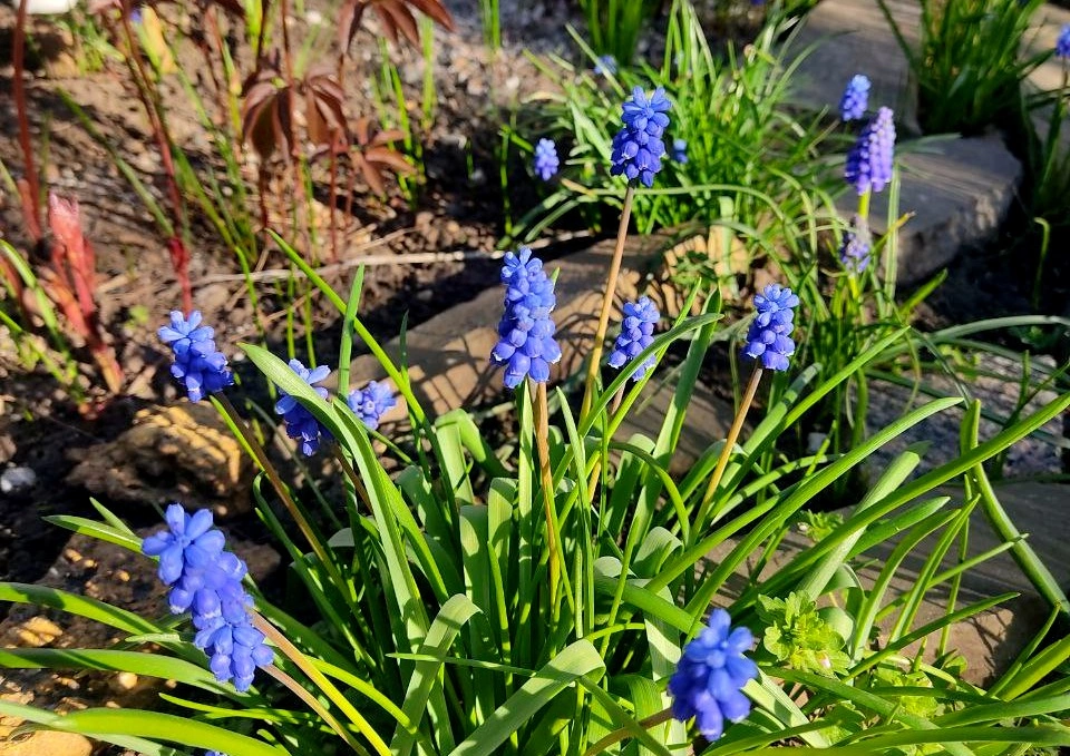 ea835095-5e0d-428b-a28d-b4dd9305086e (1).jpeg