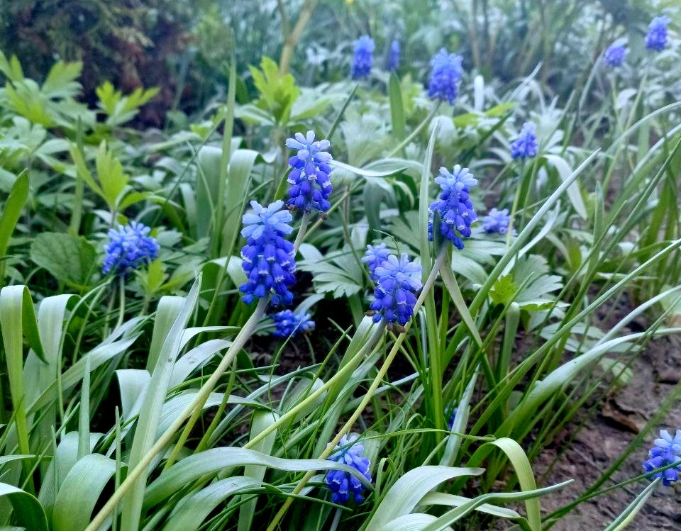 5192962696541239290 (1).jpg