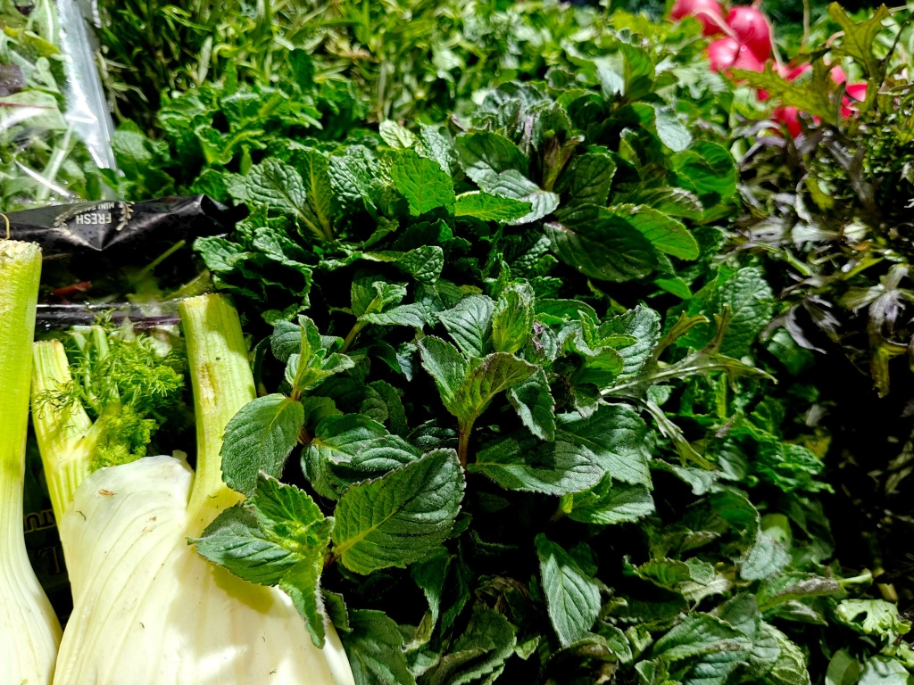 IMG20250327094900 (1).jpg