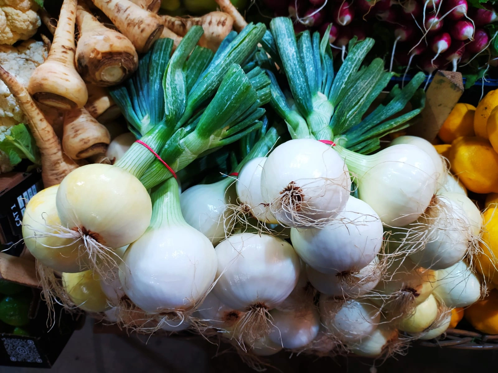 Лук молодой.jpeg Лук молодой.jpeg