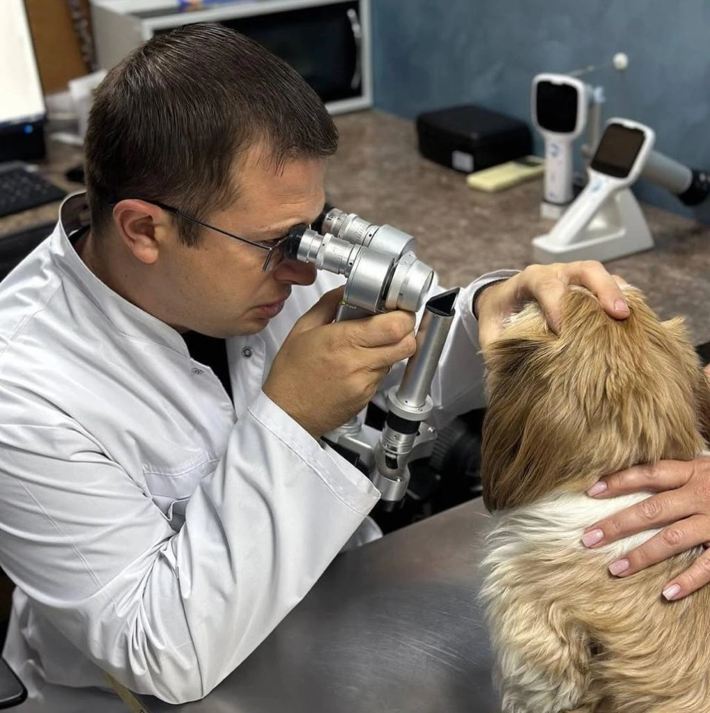 eb81c95d-9a8b-4e8b-ab9c-3f0f7144ec3f.jpeg eb81c95d-9a8b-4e8b-ab9c-3f0f7144ec3f.jpeg