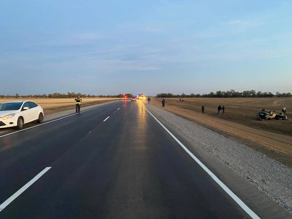 301df2d7-a2f8-4900-8478-dea3e2140be9.jpg 301df2d7-a2f8-4900-8478-dea3e2140be9.jpg