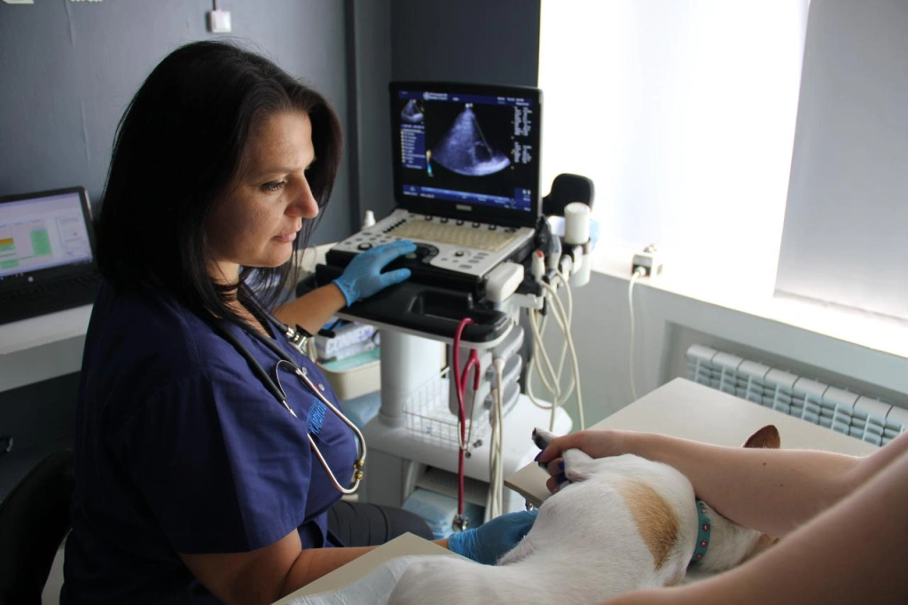 51dcb01e-8ad5-4132-9022-9836aca1e63f.jpeg 51dcb01e-8ad5-4132-9022-9836aca1e63f.jpeg