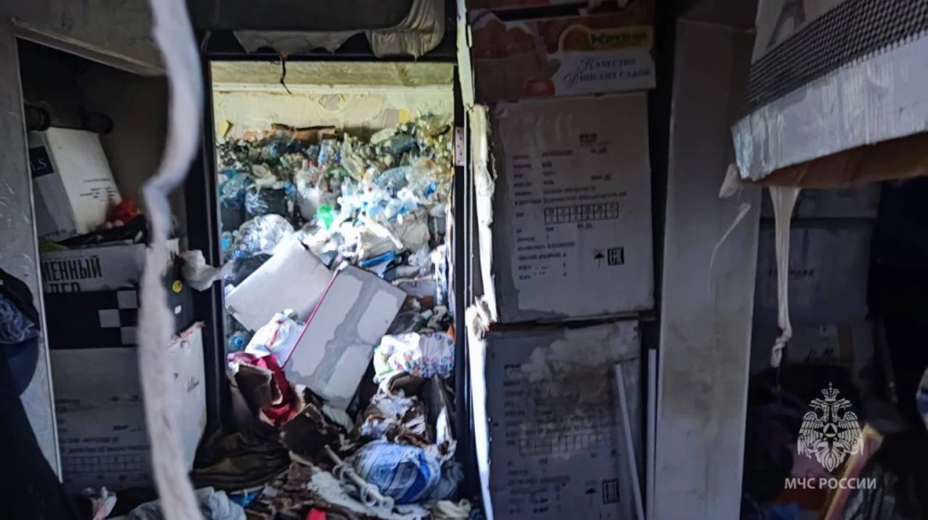 7fe46ee6-492a-497d-a6e1-6fe83f1fcf4e.jpg 7fe46ee6-492a-497d-a6e1-6fe83f1fcf4e.jpg