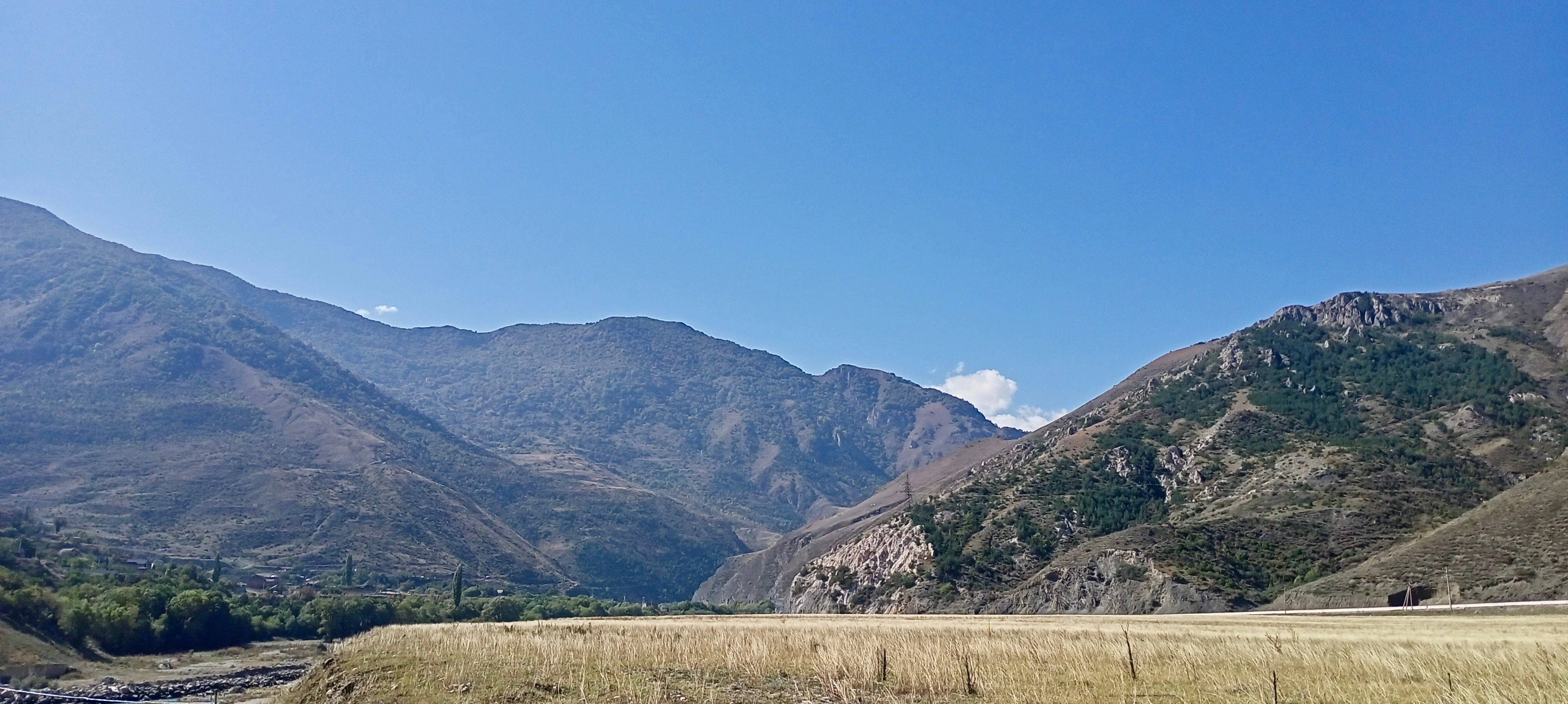 IMG_7681(2).JPG IMG_7681(2).JPG