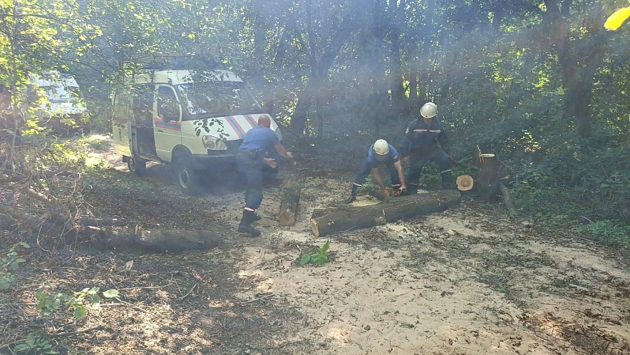 Фото: ГКУ РО "ПСС ВВ ТМ"