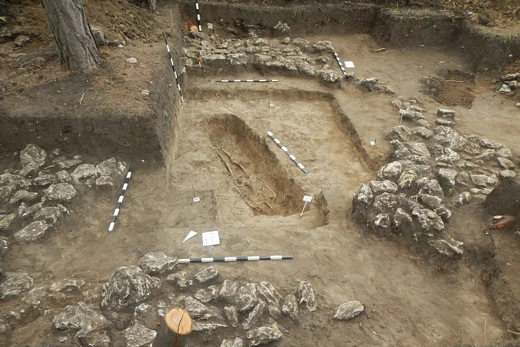 Фото: Правительство Ростовской области 