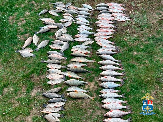 Фото: Транспортная полиция