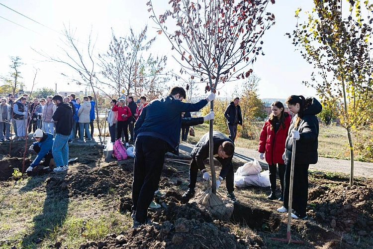Фото: Администрации города Ростова-на-Дону