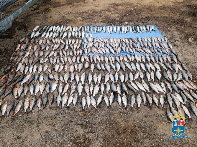 Фото: УТ МВД России по СКФО