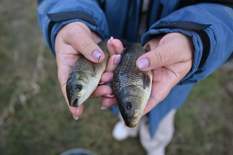 Фото: Ростовская АЭС