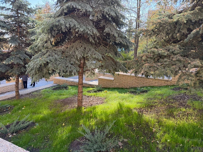 Фото: ТГ канала Юлии Мищук