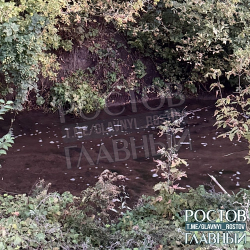 Фото: ТГ канала "РОСТОВ ГЛАВНЫЙ новости"