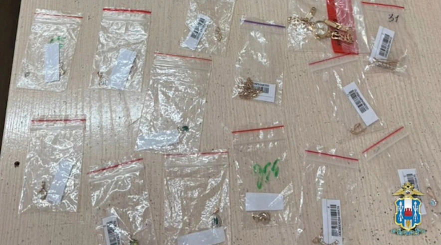 Фото: кадр пресс-службы ГУ МВД по РО