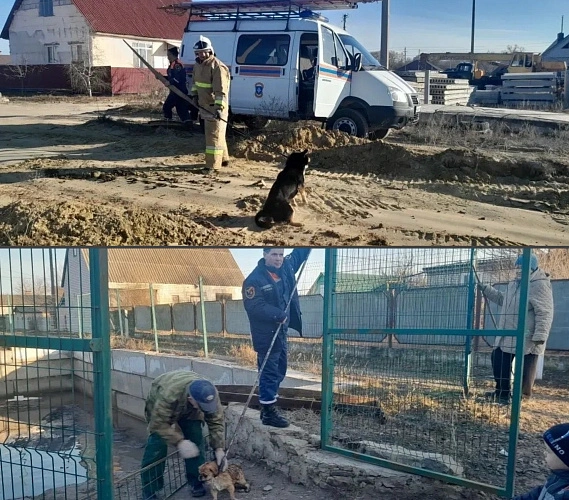 Фото: ГКУ РО «ПСС ВВ ТМ»