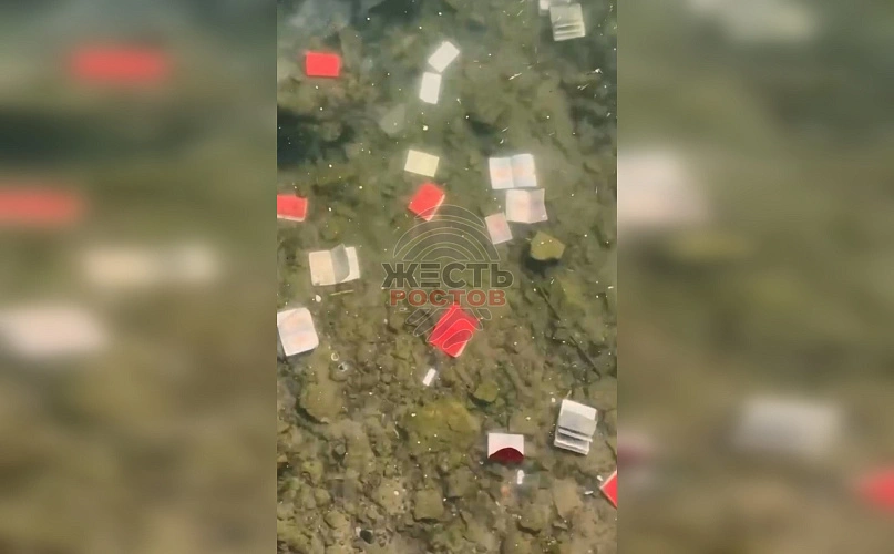 Фото: ТГ канала "Че по Ростову?"