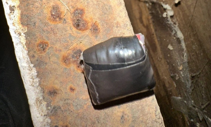 Фото: ГУ МВД РФ по РО