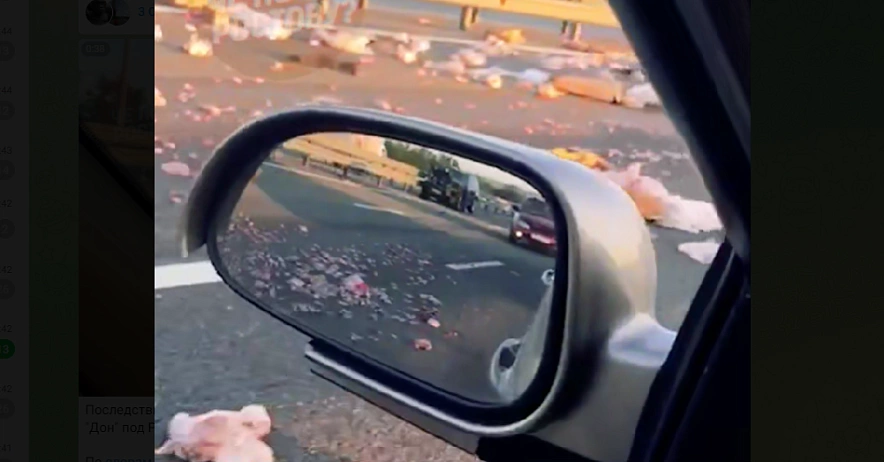 Фото: Трассу М-4 засыпало куриным мясом, кадр ТГ-канала Че по Ростову