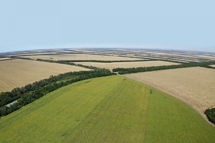 Фото:  Управление Россельхознадзора по РВАОиРК