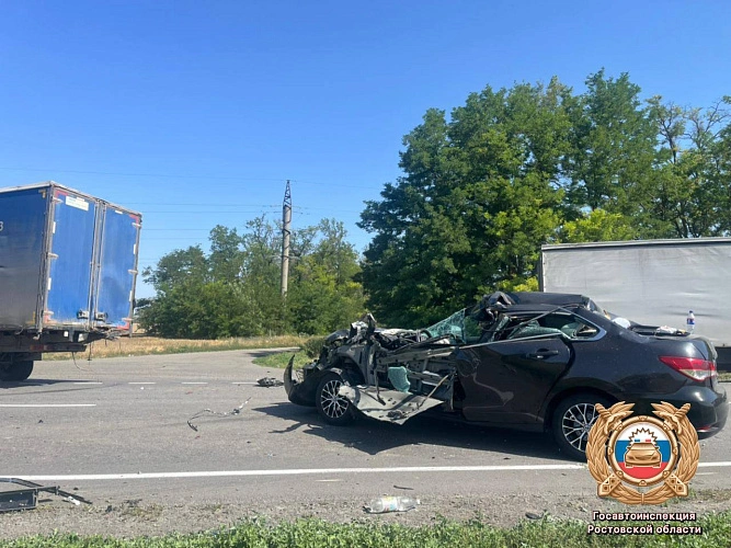 Фото: кадр донской Госавтоинспекции