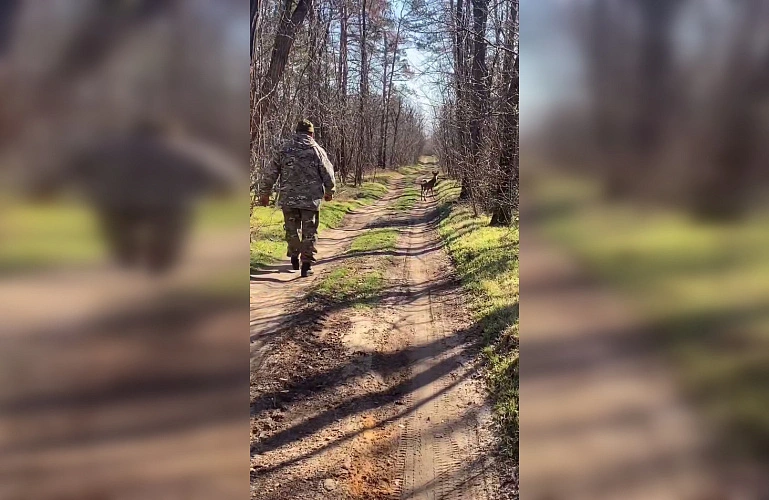 Фото: Парк «Лога»