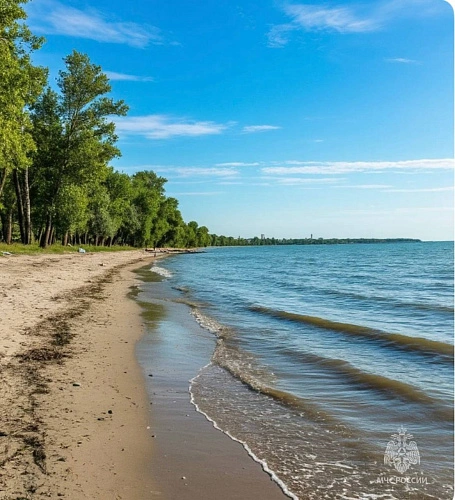 Фото: кадр донского МЧС