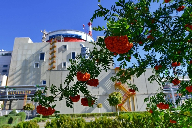 Фото: Управление коммуникаций Ростовской АЭС