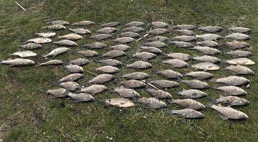 Фото: УТ МВД России по СКФО