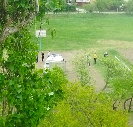 Фото: социальные сети