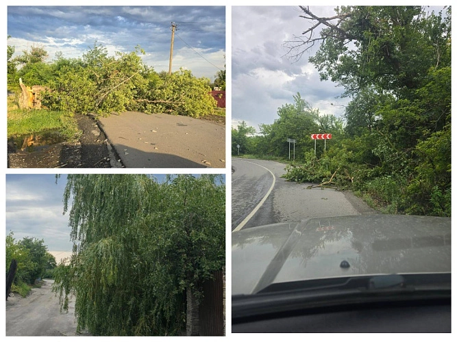 Фото: Виктор Гуснай/telegram