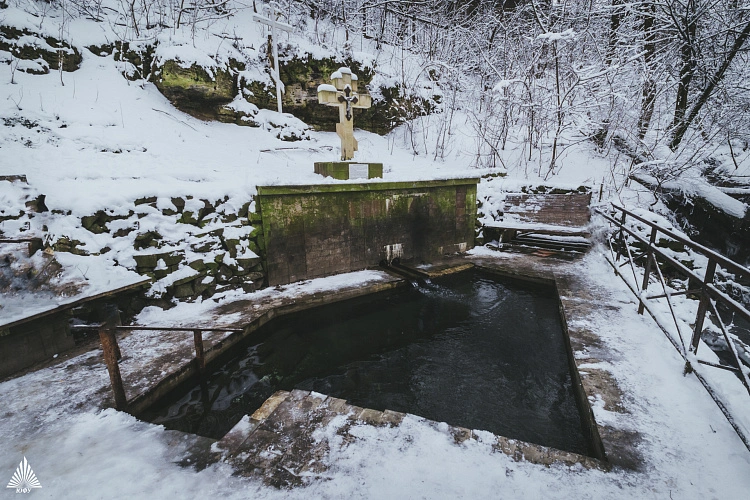 Фото: В Ростове на Крещение вход в Ботанический сад ЮФУ будет бесплатным // кадр ЮФУ 