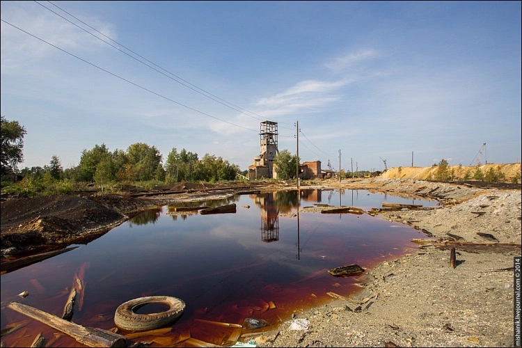 Фото: Пресс-центр ЮФУ