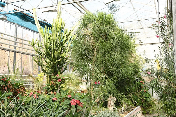 Фото: ТГ-канал Александра Скрябина