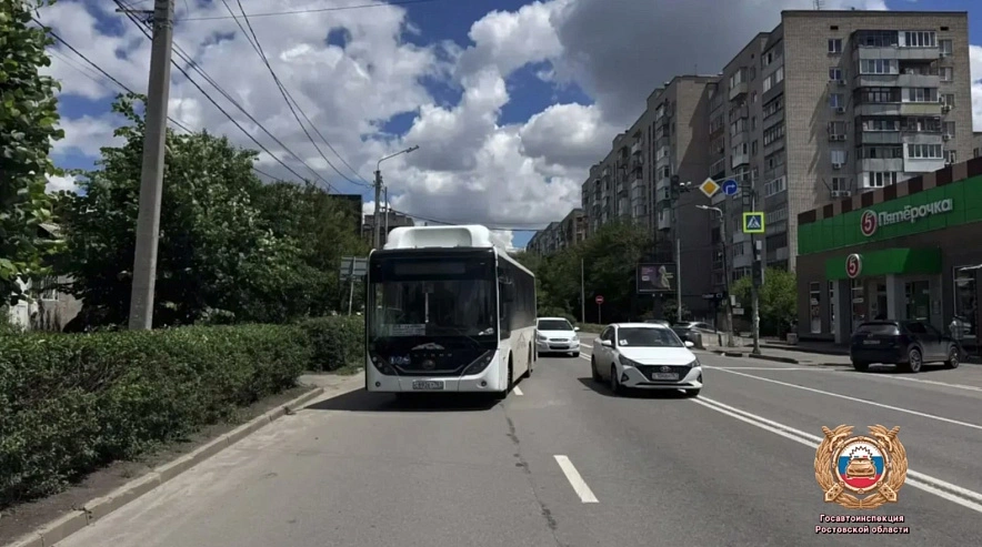 Фото: Госавтоинспекции Ростовской области 