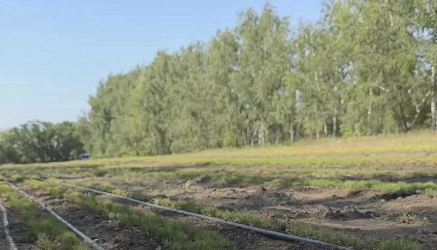 Фото: из архива Минприроды Ростовской области